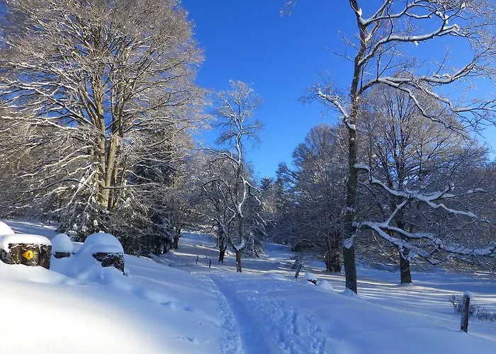 Tuileries Bed & Breakfast 3*